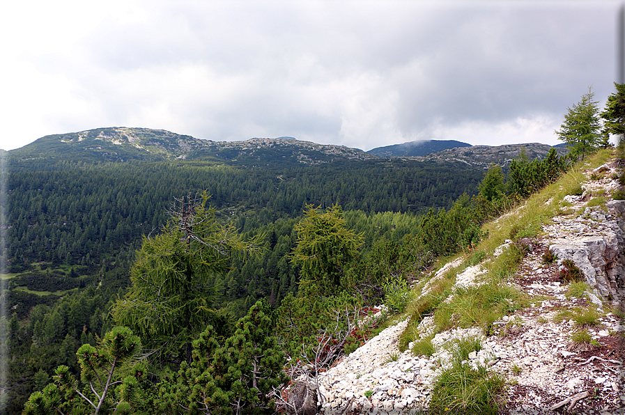 foto Trincee sul Monte Lozze